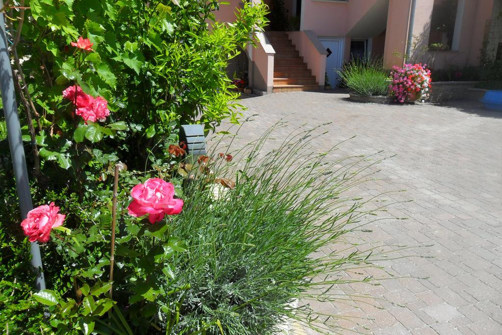Apartment Tim Zadar Exterior photo